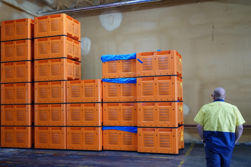 Man walks up to a pile of bright orange crates against a wall