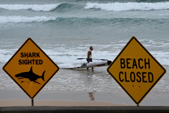 A man was attacked and critically injured in Manly near the North Steyne Surf Life Saving Club on Monday.