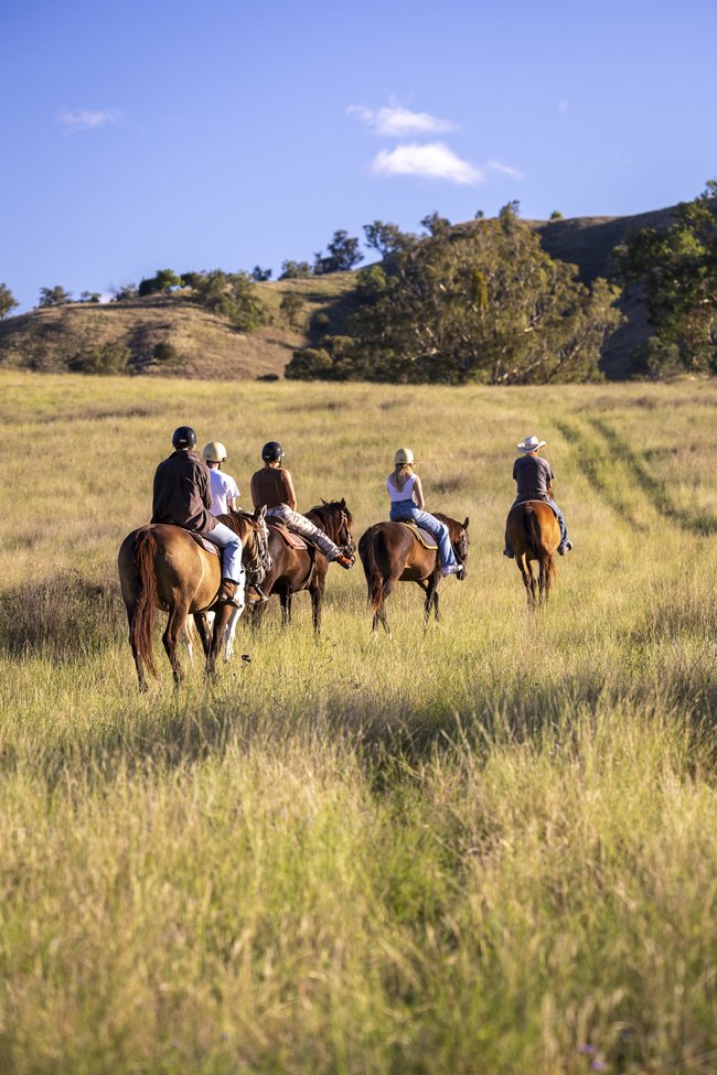 Tamworth Kootingal Horse Riding Adventures takes you through some of Australia’s most beautiful country.
