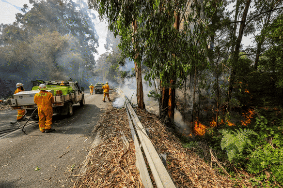 The aftermath of the Carlisle River bushfire in Gellibrand.