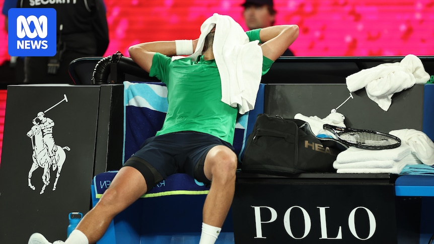 Australian Open 2026 live: Carlos Alcaraz beats Alexander Zverev before Jannik Sinner meets Novak Djokovic in men's semifinals