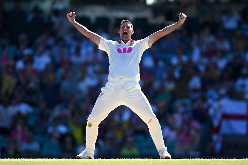 Australia bowler Beau Webster holds both arms out and shouts to celebrate a Test wicket.