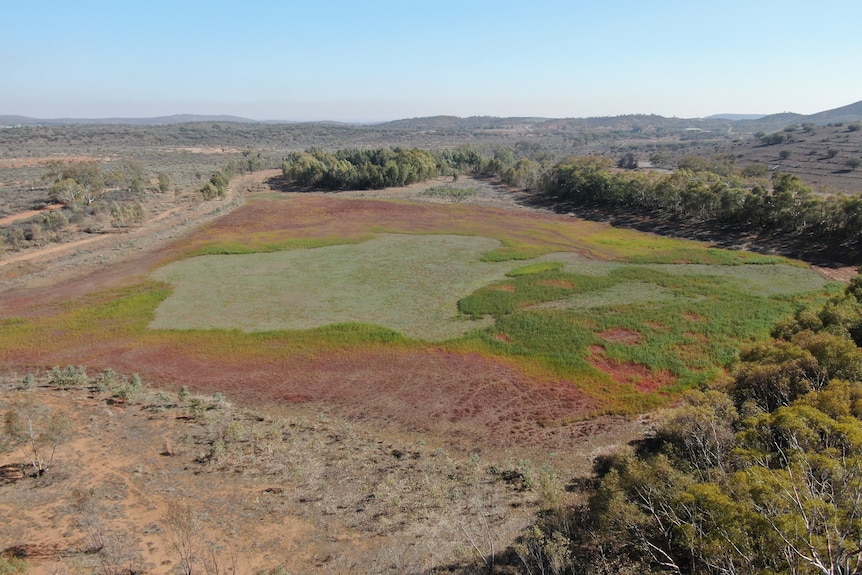 A wide aerial shot showing a light green and red field of grass and dry scrub