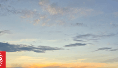 Mass whale stranding on Farewell Spit