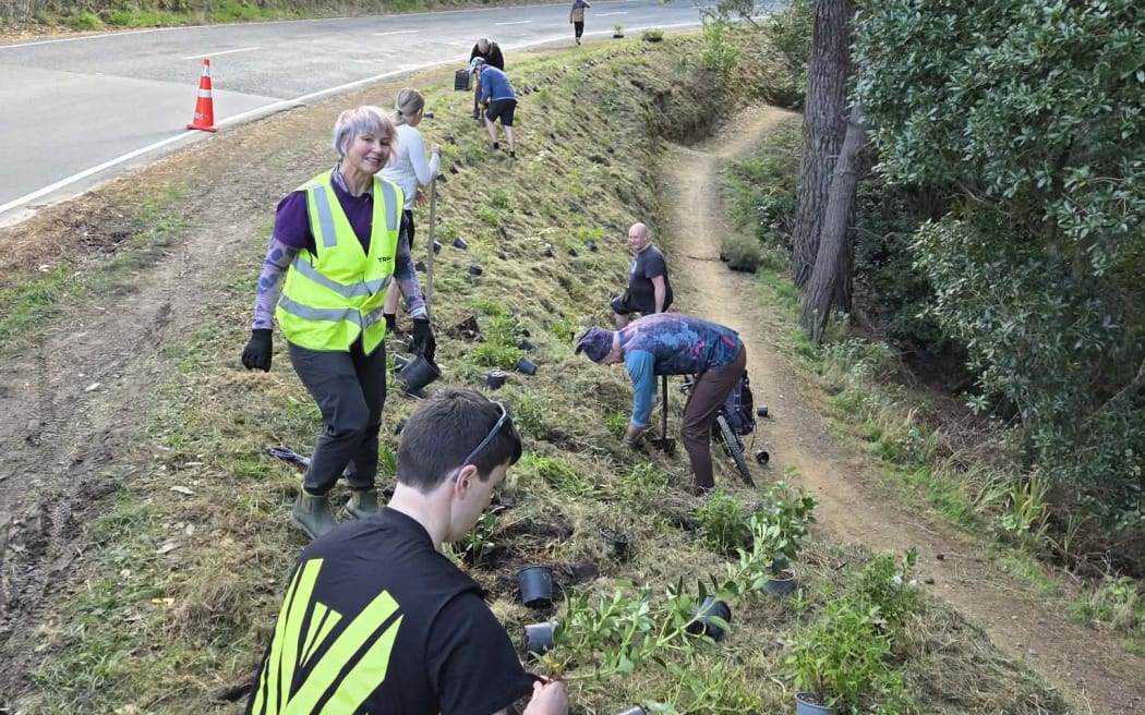 Vicky Robertson flanked by volunteers as they plant native trees above the recently completed Te Tuarā o Matairangi trail which runs along the Hatatai side of Mt Victoria.