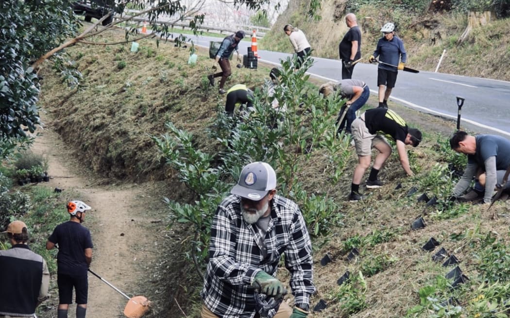 Vicky Robertson flanked by volunteers as they plant native trees above the recently completed Te Tuarā o Matairangi trail which runs along the Hatatai side of Mt Victoria.
