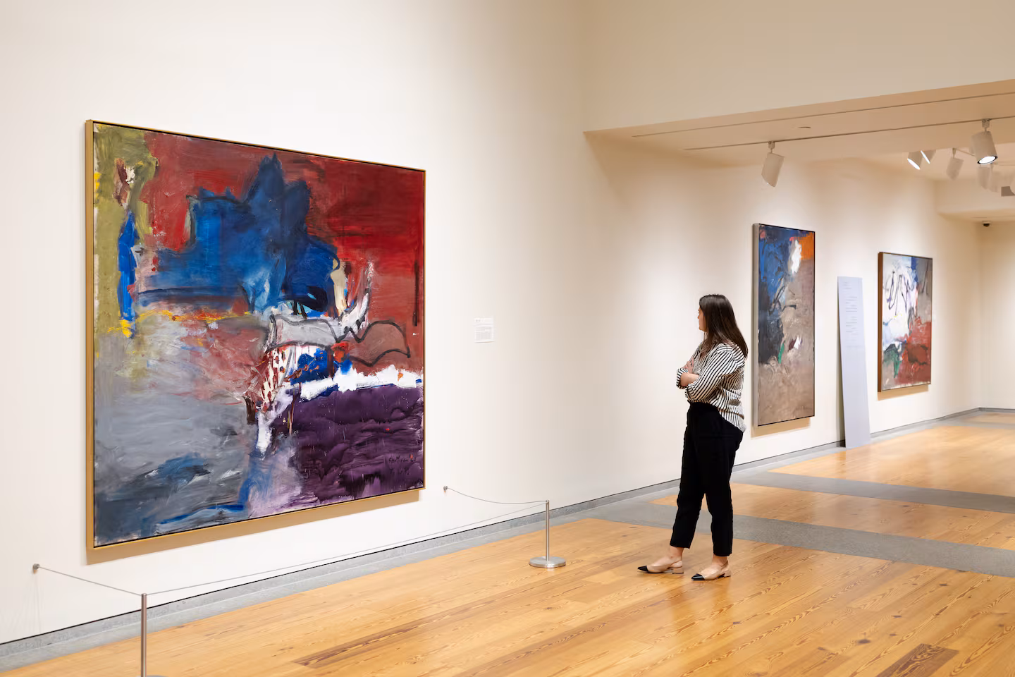 A viewer with Grace Hartigan's "Dido," 1960, at the Portland Museum of Art.