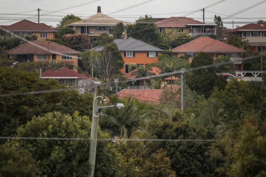 Houses on a ridge, located in Annerley Queensland.