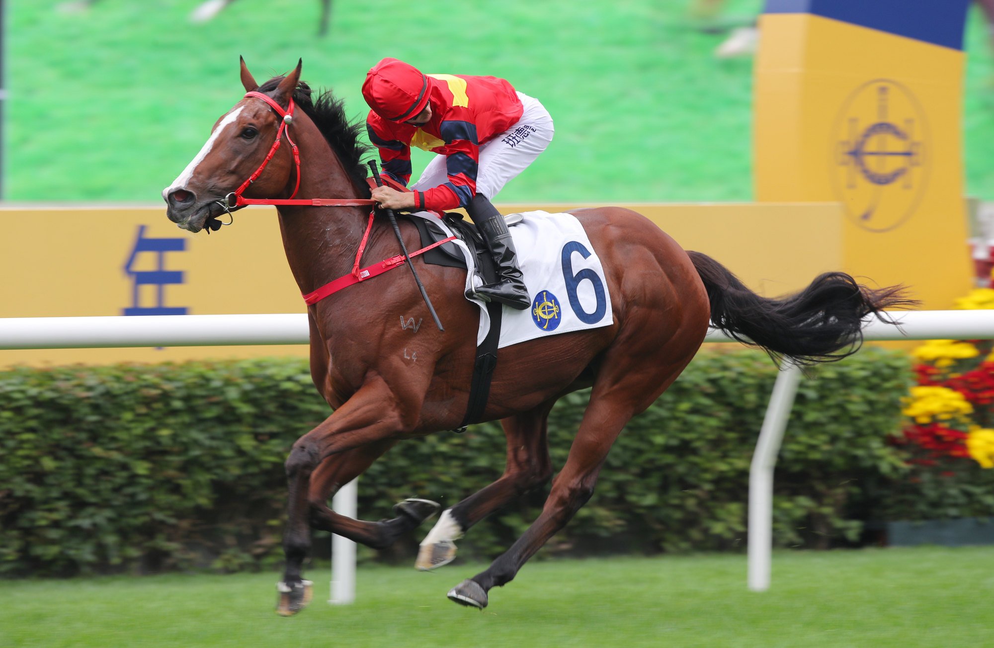 Harry Bentley peeks over his shoulder as Smart Golf bolts in.