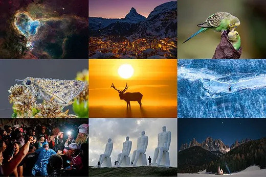 Best of 2025 photo challenge editors picks