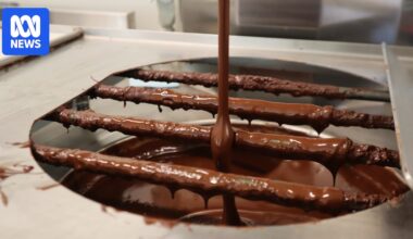 Chocolate manufacturers look to cocoa bean alternatives to tackle global market uncertainty