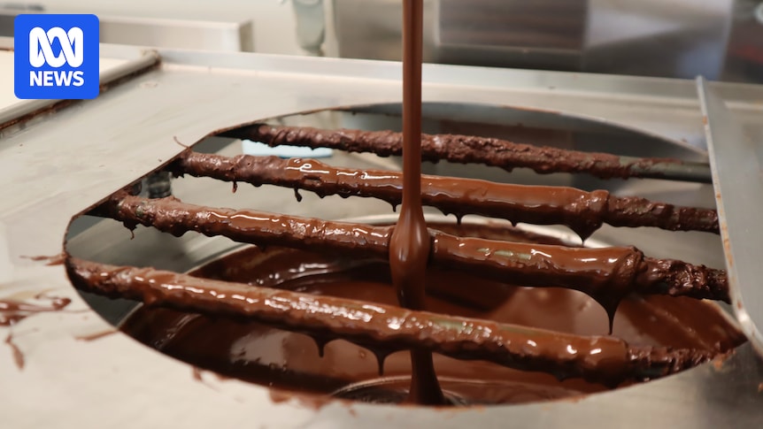 Chocolate manufacturers look to cocoa bean alternatives to tackle global market uncertainty