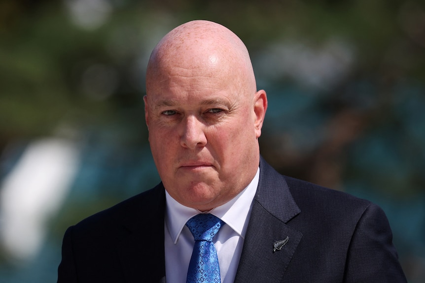 A bald man in a blue suit with a light blue tie and a New Zealand fern leaf pin looks at the camera