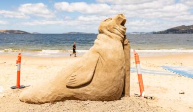 Giant sand sculpture of ‘Neil the seal’ appears on Bellerive Beach