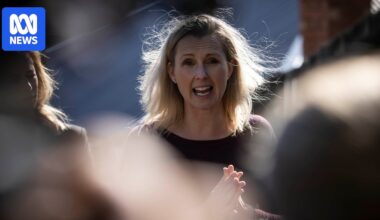 Decision to suspend Tasmanian councillor Louise Elliot for 'child-like' comments upheld in court