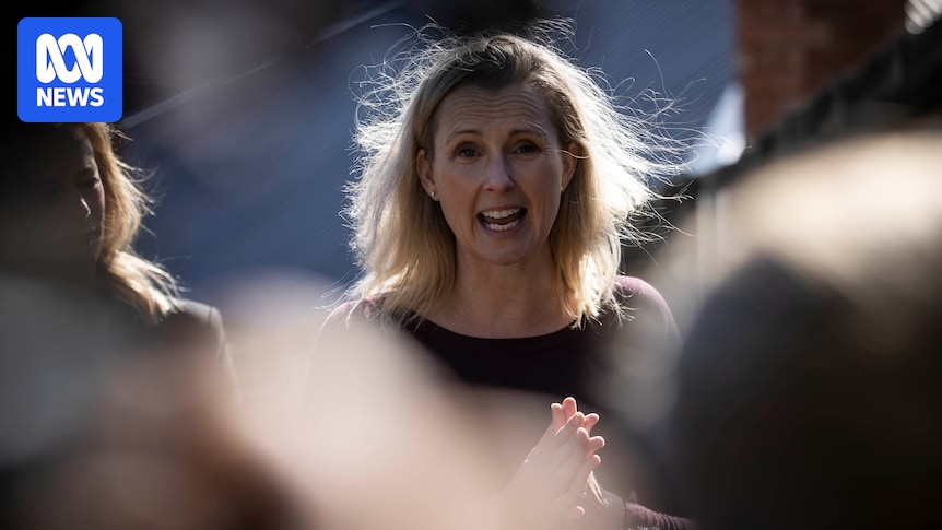 Decision to suspend Tasmanian councillor Louise Elliot for 'child-like' comments upheld in court