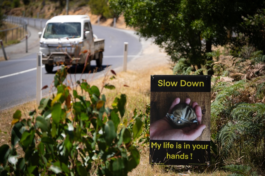 Please slow down for wildlife sign.