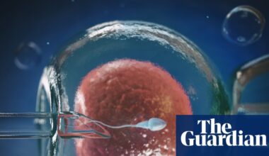Could egg defect breakthrough help stop the ‘horrible IVF rollercoaster’? | IVF