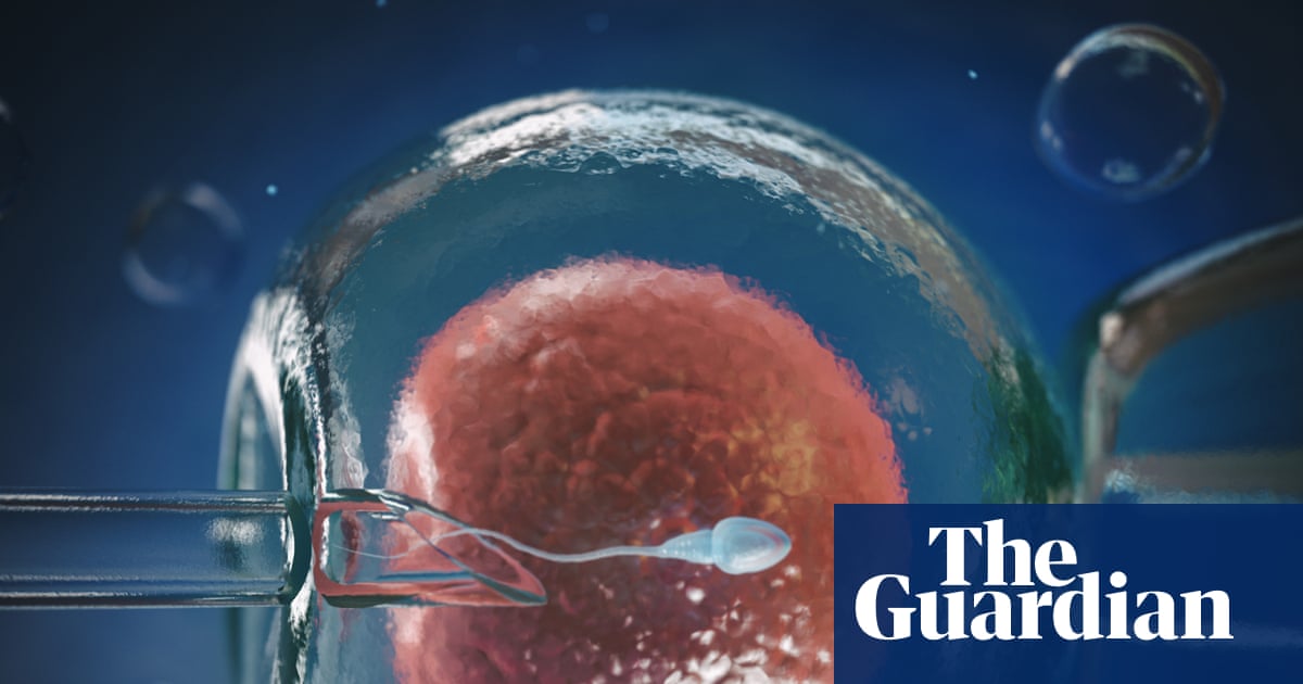Could egg defect breakthrough help stop the ‘horrible IVF rollercoaster’? | IVF