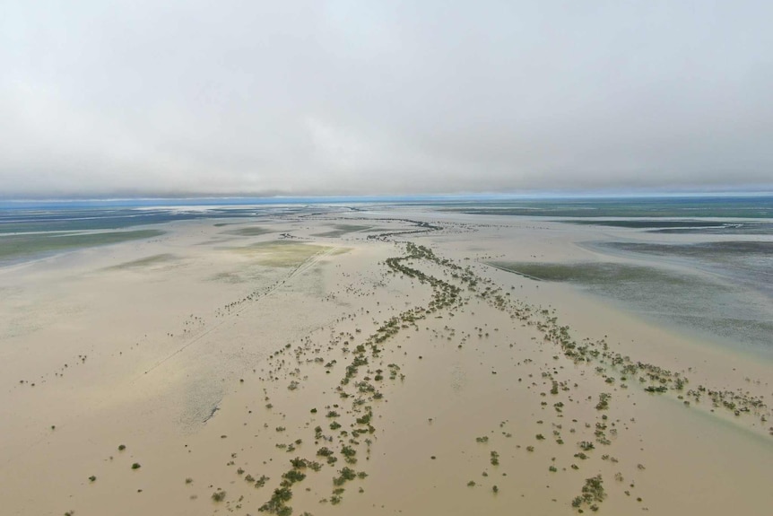 Expansive flood waters across paddocks
