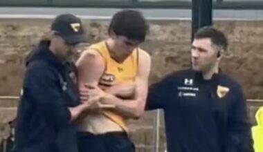 Hawthorn’s Will Day suffers suspected shoulder injury at training, Hawks club statement, return date, Hawks training news, track watch
