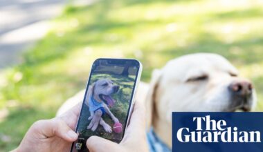 I tried to make my dog go viral on social media – it taught me more than I expected | Dogs