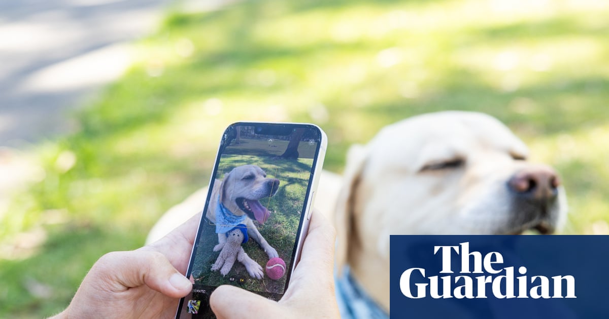 I tried to make my dog go viral on social media – it taught me more than I expected | Dogs