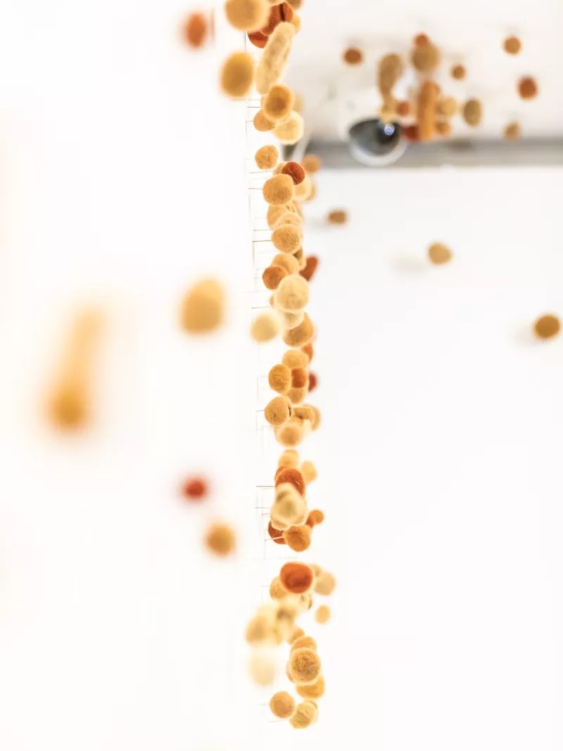 A textile artwork featuring small orange and yellow woolen balls hanging from a gallery wall