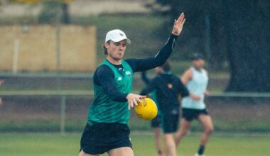 First look at new Tasmania team revealed - AFL News