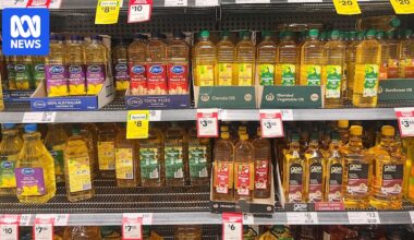 Avoiding seed oils is an online trend, but are they as bad as some would have you believe?
