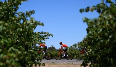 WILLUNGA HILL AUSTRALIA JANUARY 25 Magnus Sheffield of The United States and Team INEOS Grenadiers competes passing through a landscape during the 25th Santos Tour Down Under 2025 Stage 5 a 1457km stage from McLaren Vale to Willunga Hill 371m UCIWT on January 25 2025 in Willunga Hill Australia Photo by Dario BelingheriGetty Images