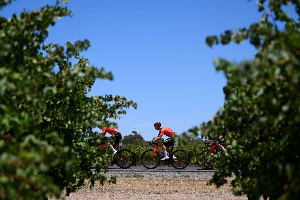 WILLUNGA HILL AUSTRALIA JANUARY 25 Magnus Sheffield of The United States and Team INEOS Grenadiers competes passing through a landscape during the 25th Santos Tour Down Under 2025 Stage 5 a 1457km stage from McLaren Vale to Willunga Hill 371m UCIWT on January 25 2025 in Willunga Hill Australia Photo by Dario BelingheriGetty Images