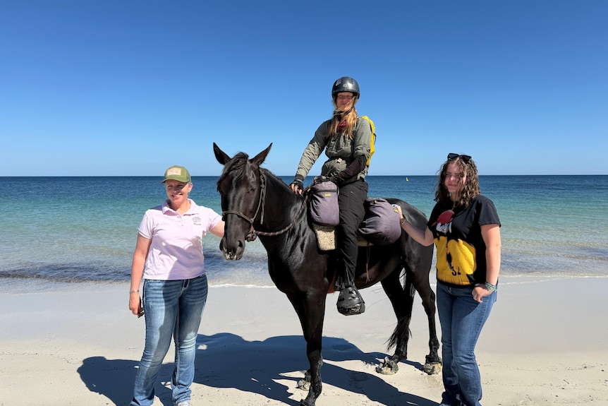 2 women standing either side of a horse with women sitting on horse 