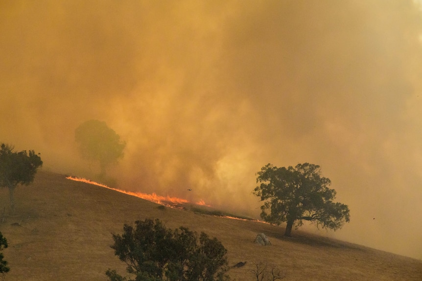 A low grass fire burns across a hillside as heavy smoke blankets the landscape during bushfire conditions in Longwood, Victoria.