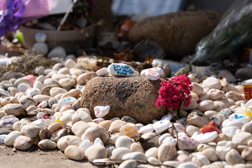 Pebbles, many bearing written messages, laid on a beach.