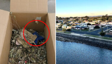 Aussie homeowner risks $4,000 fine after discovery in garage prompts 'unnecessary' move