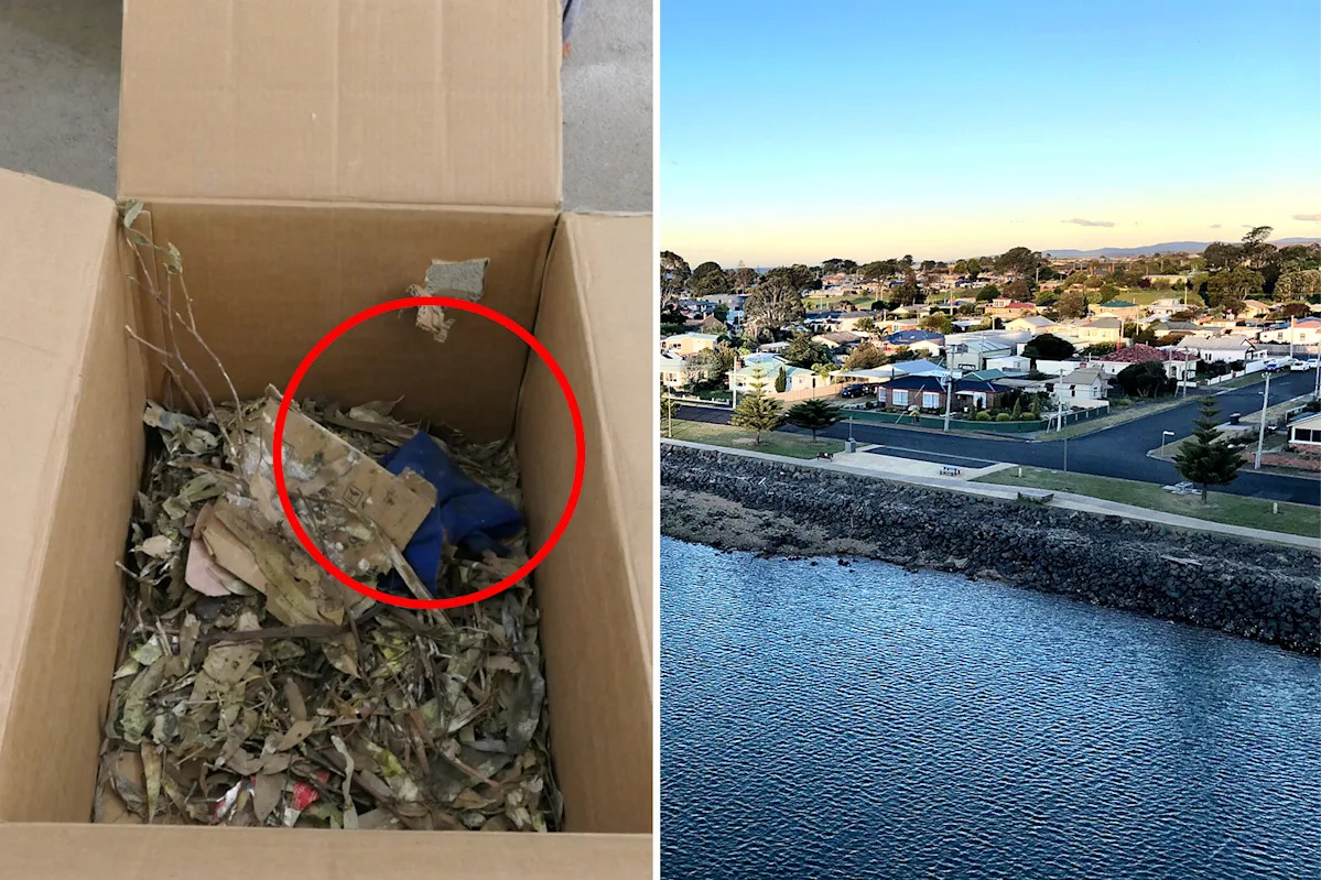 Aussie homeowner risks $4,000 fine after discovery in garage prompts 'unnecessary' move