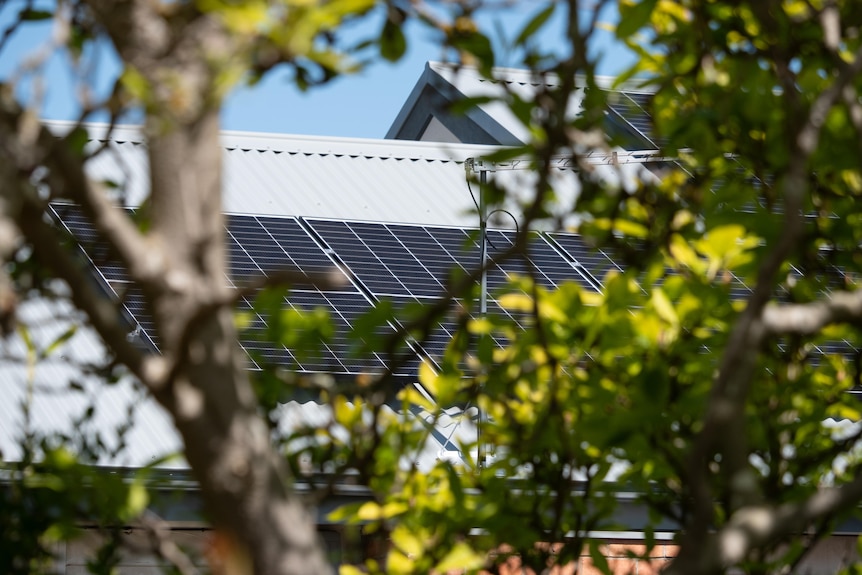 A solar system on a roof with foliage in the foreground.