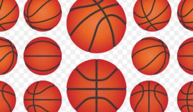  Girls Basketball Roundup: Chapel Hill captures 20th win of season, Whitehouse stays unbeaten