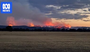 Police discover human remains near car in bushfire-ravaged area east of Seymour
