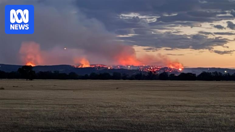 Police discover human remains near car in bushfire-ravaged area east of Seymour