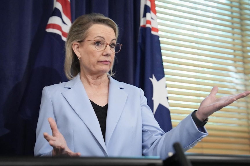 Sussan Ley raises her hands during a press conference.