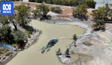 'Promising' results for AI fish passage aiming to help stop another Menindee mass fish kill