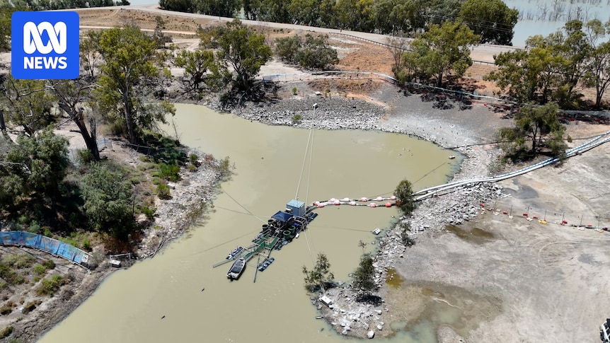 'Promising' results for AI fish passage aiming to help stop another Menindee mass fish kill