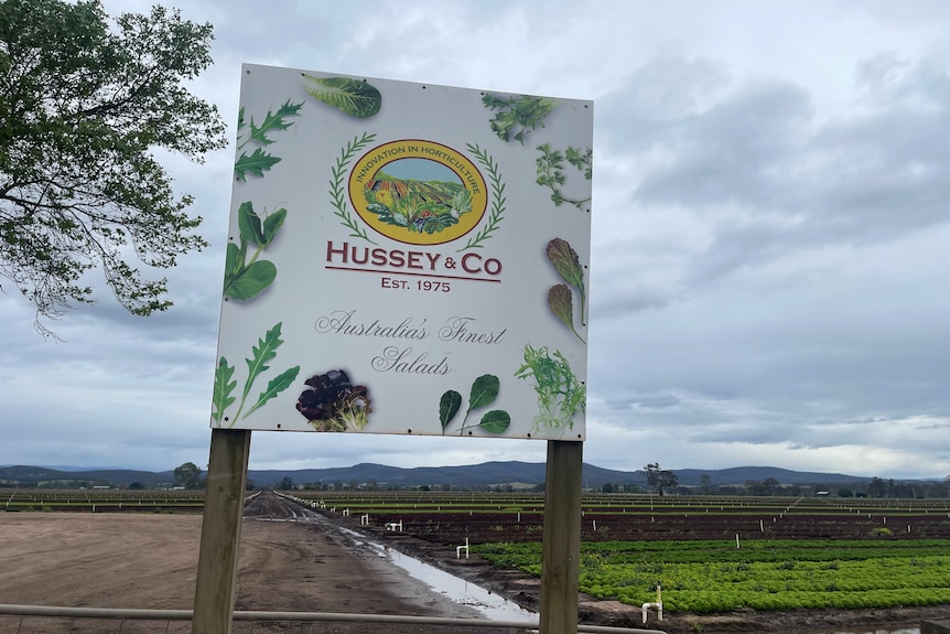 A sign at a farm saying Hussey and co