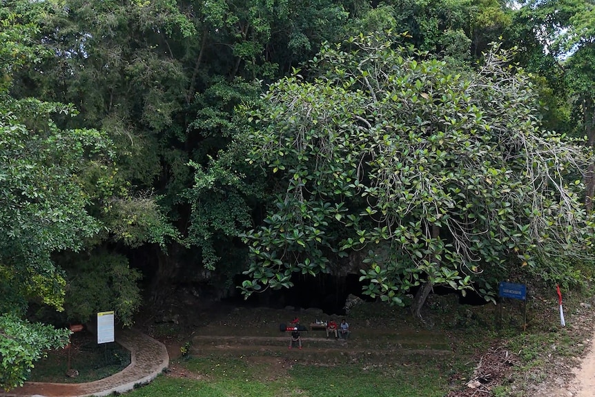 A small cave, surrounded by trees and a road.