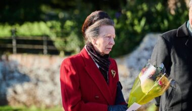 Princess Anne given new two-word nickname after King stole her title | Royal | News