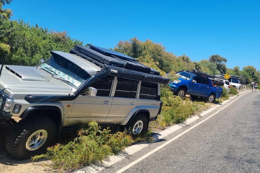 Cars parked on vegetation on side of road