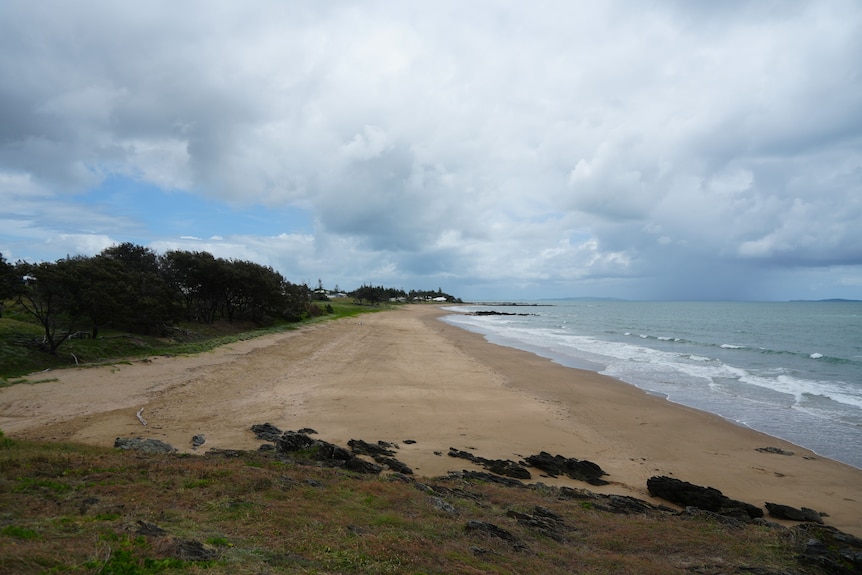 A photo of a beach with vegetation on the left