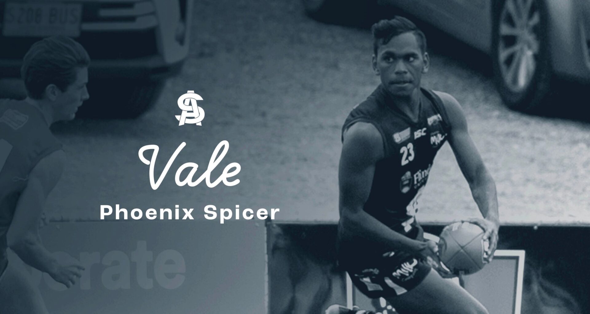 Vale Phoenix Spicer
